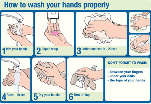 Expert Hand Washing