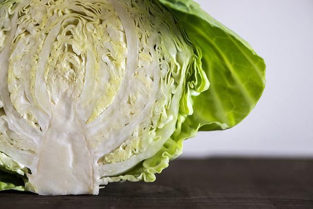Closeup cross section of green cabbage