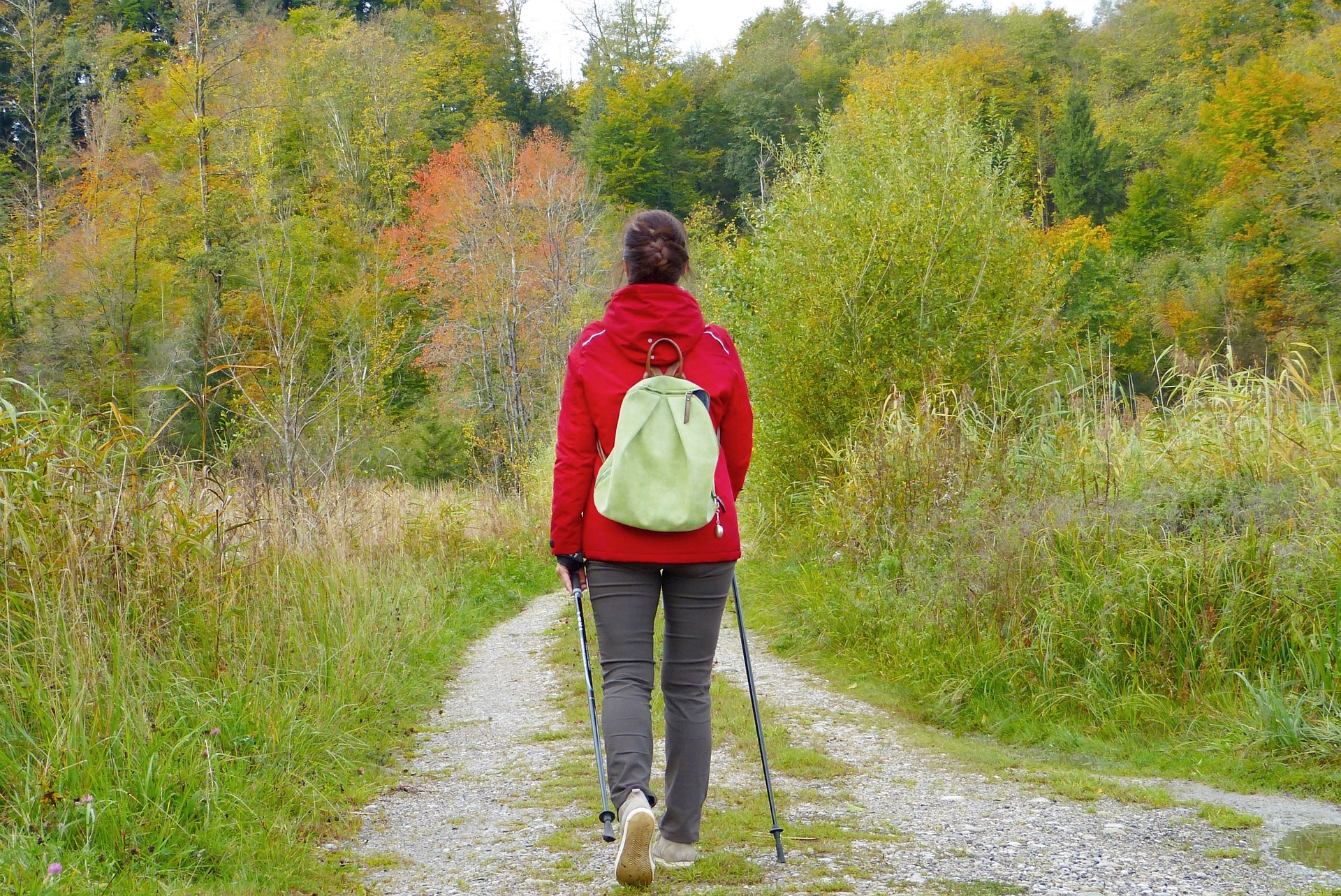Rear view of woman hiking on trail through a field