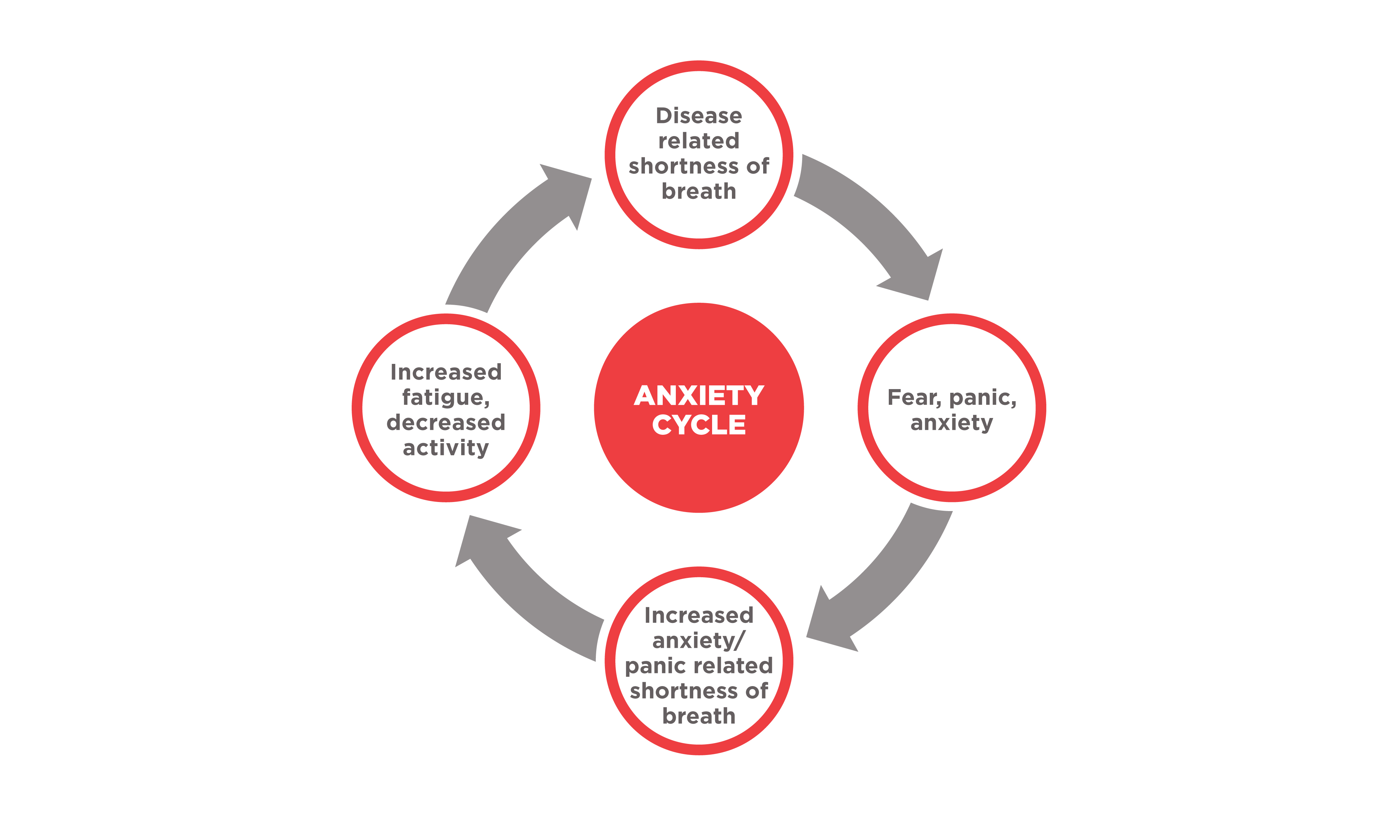Anxiety cycle