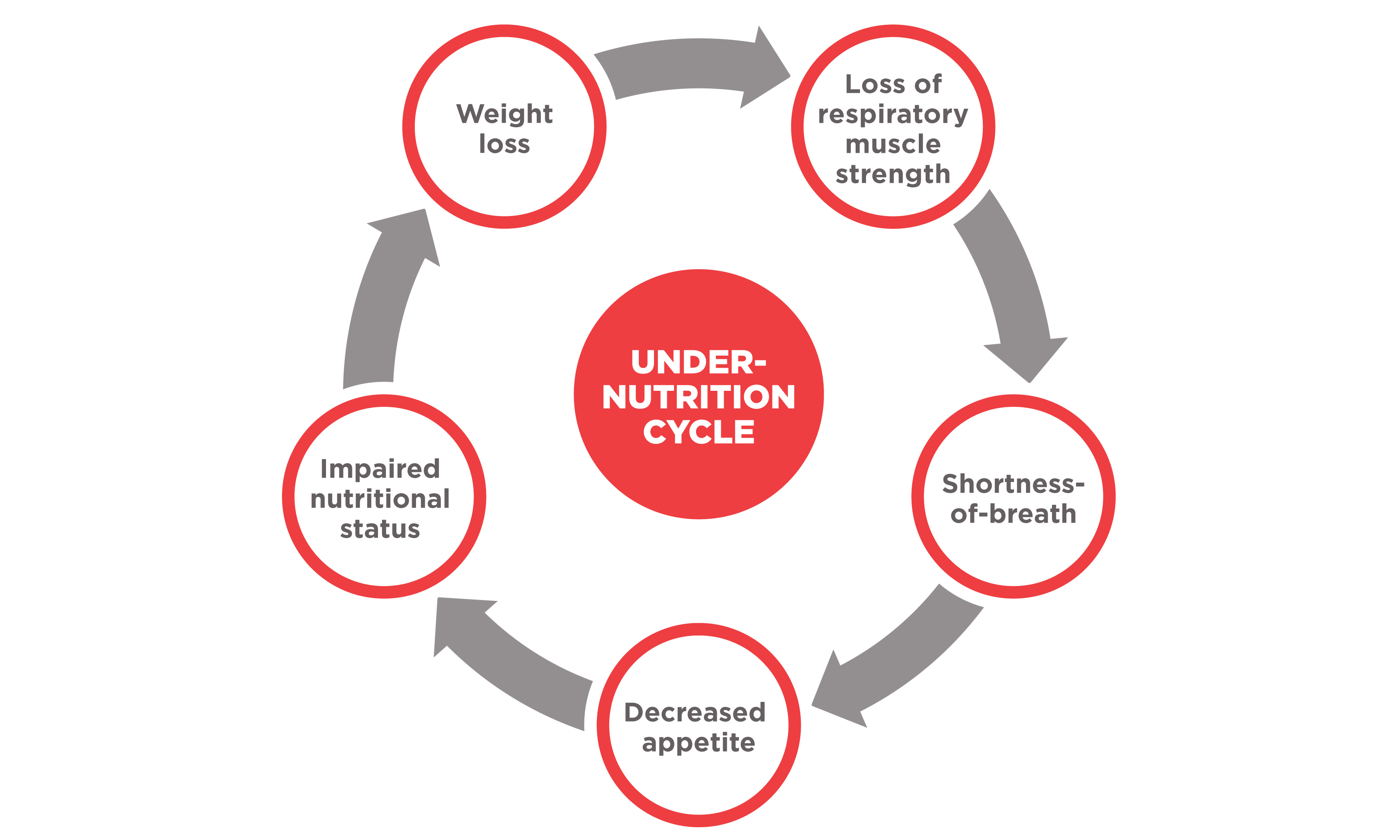 Undernutrition cycle