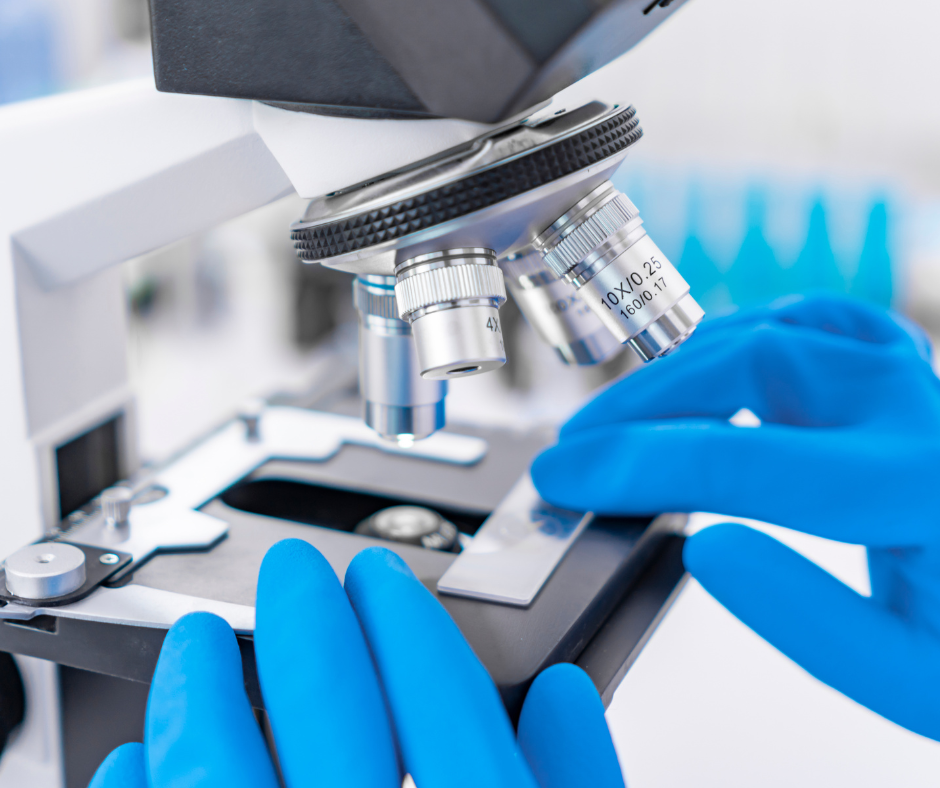 Closeup of hands wearing blue latex gloves putting slide onto microscope