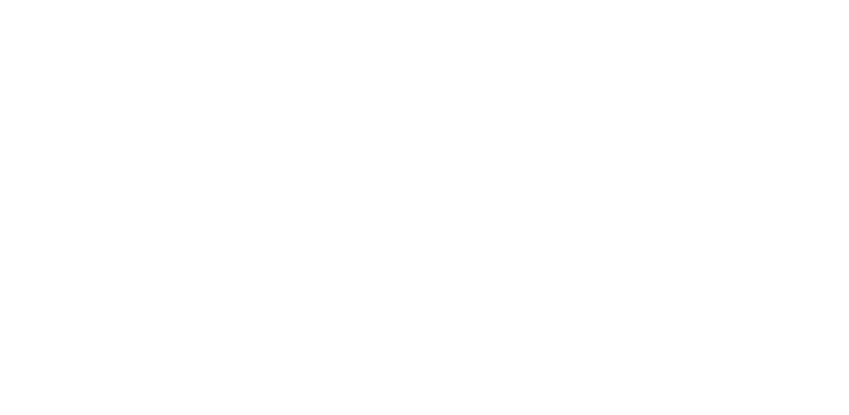 Lungs in the Air