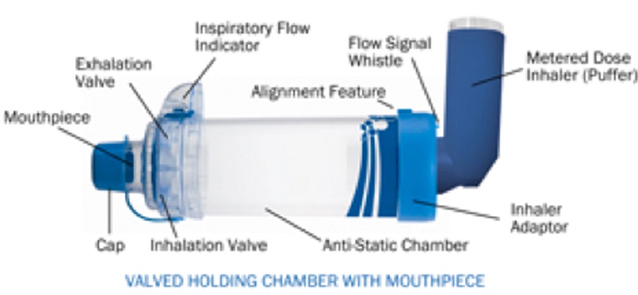 How To Use Your Inhaler The Lung Association