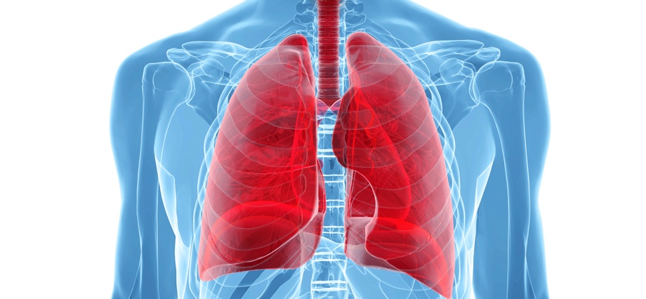 Lung Health | the lung association