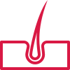 icons8-skin-100_0